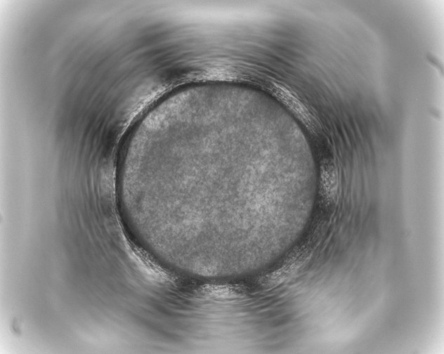 X0000093460534200711021136