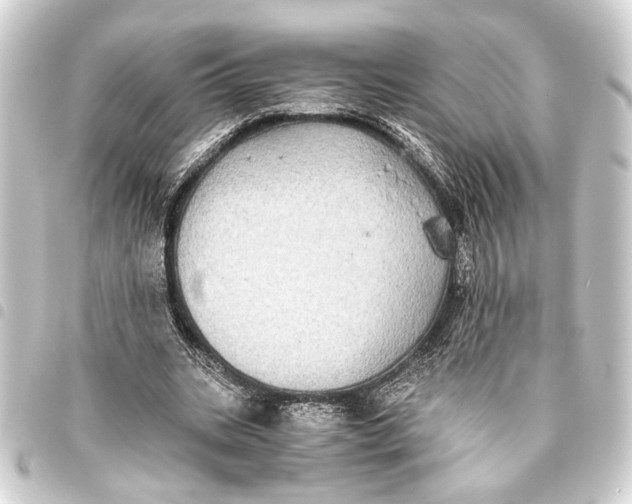 X0000093460535200711021136