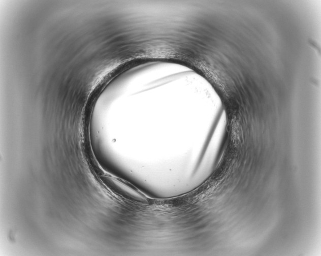 X0000093460536200711021136