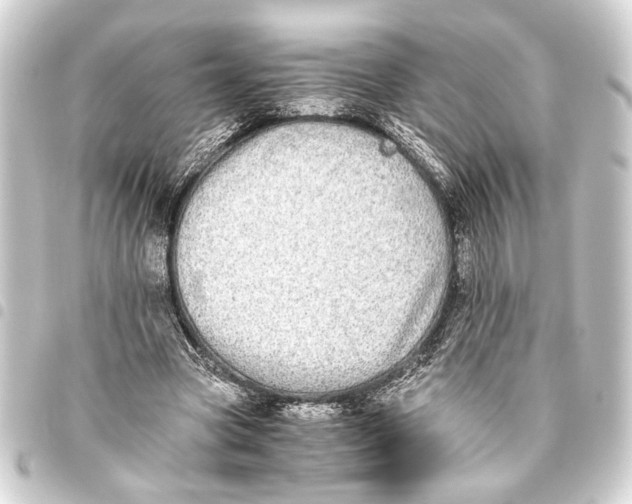 X0000093460537200711021136