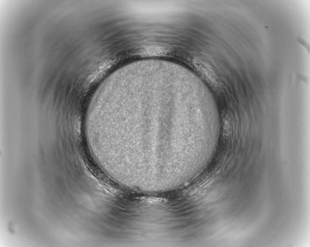 X0000093460539200711021136