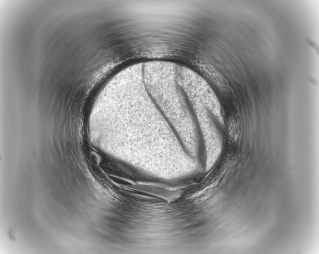 X0000093460540200711021136