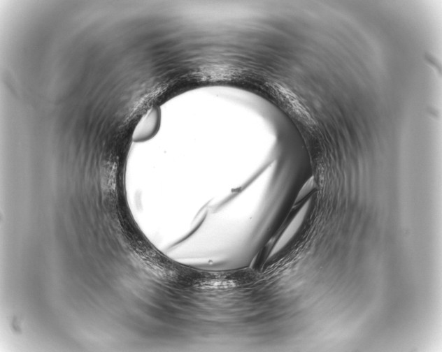 X0000093460543200711021136