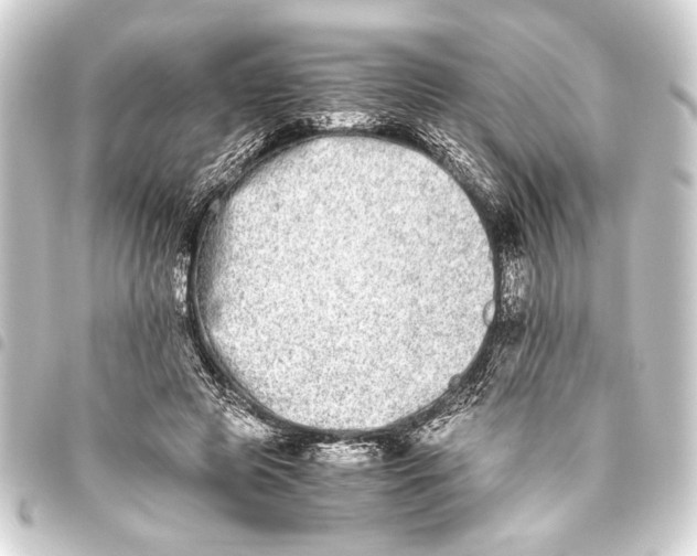 X0000093460545200711021136