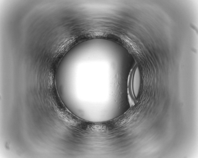 X0000093460546200711021136