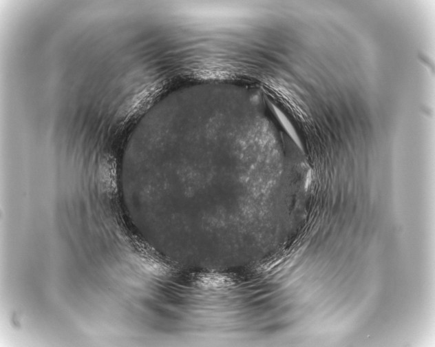 X0000093460547200711021136