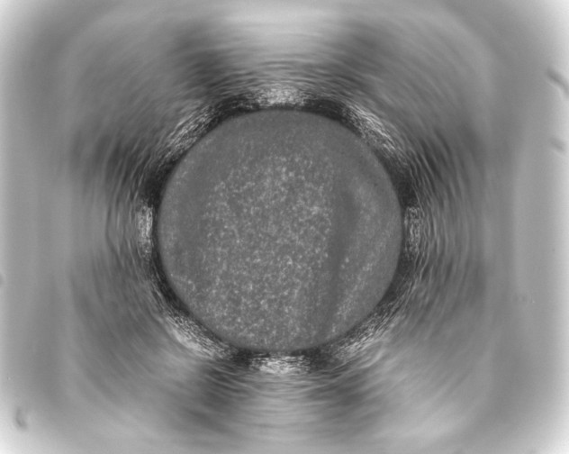 X0000093460550200711021137