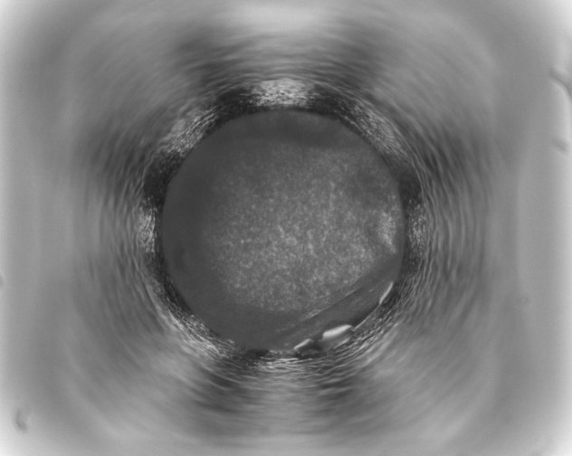 X0000093460551200711021137