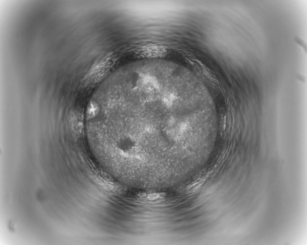 X0000093460553200711021137