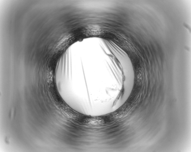 X0000093460555200711021137