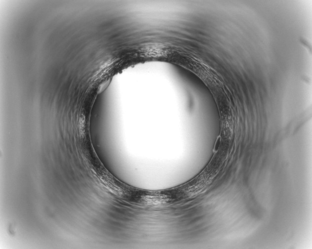 X0000093460556200711021137