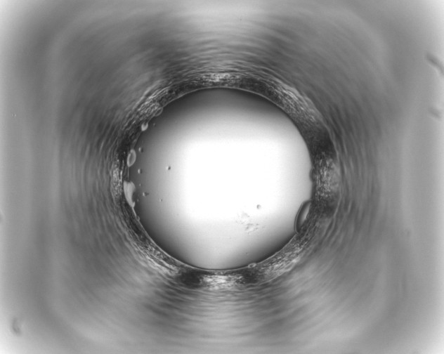 X0000093460558200711021137