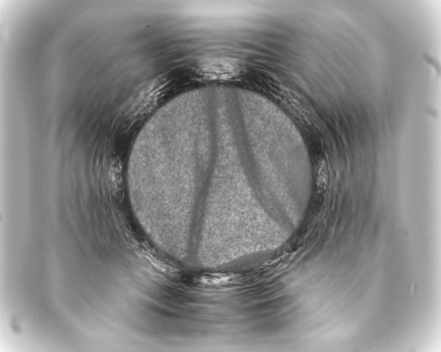 X0000093460559200711021137