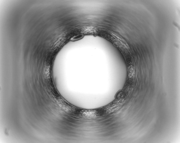 X0000093460560200711021137