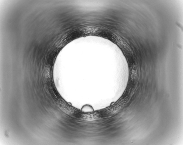 X0000093460561200711021137