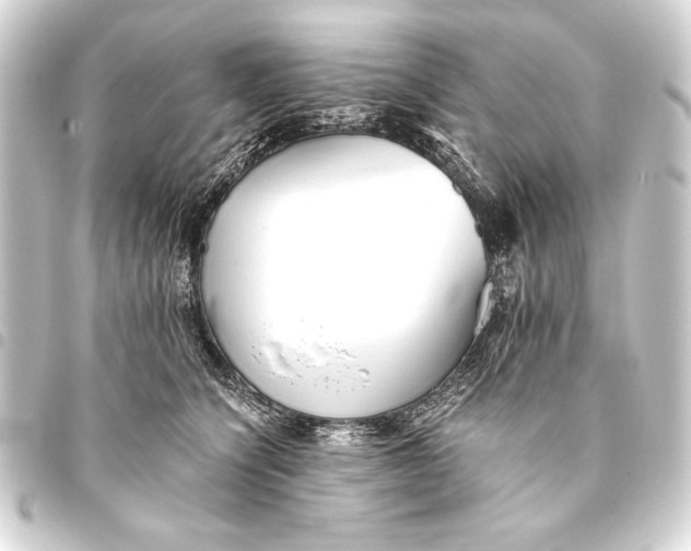 X0000093460564200711021137