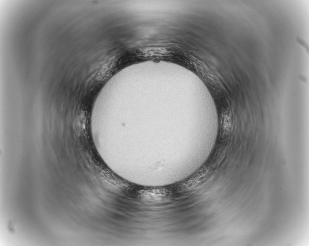 X0000093460567200711021137