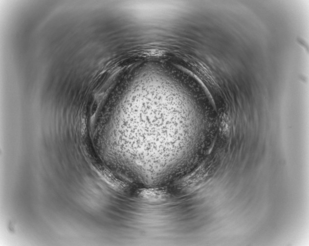 X0000093460568200711021137