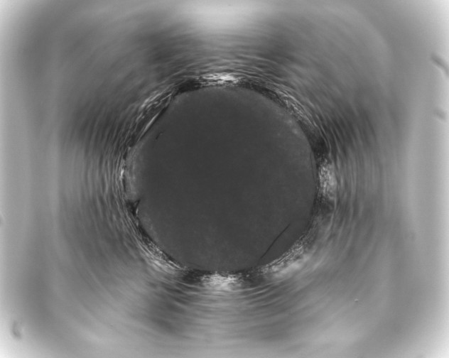 X0000093460570200711021137