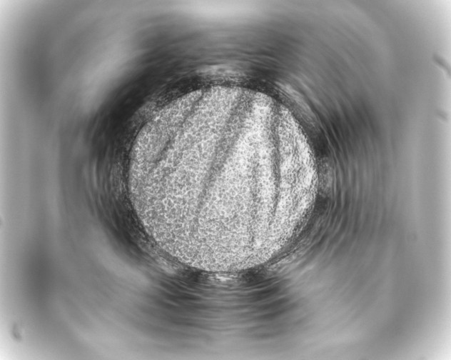 X0000093460573200711021137