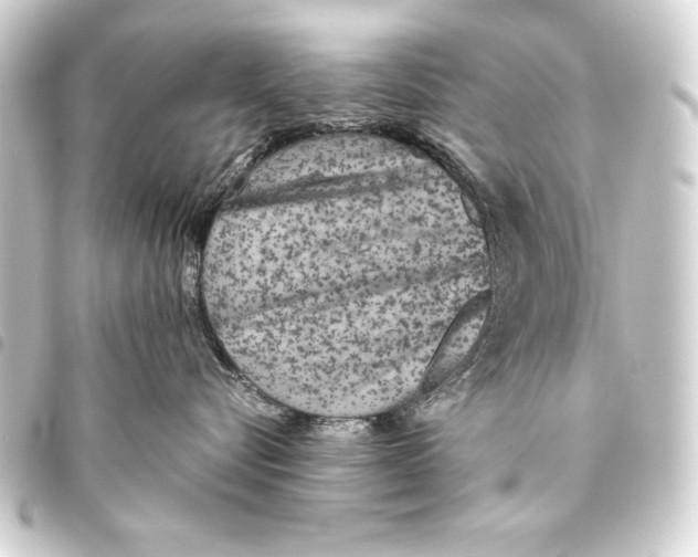 X0000093460576200711021137