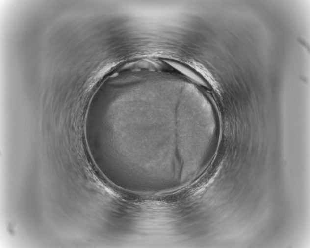 X0000093460577200711021136