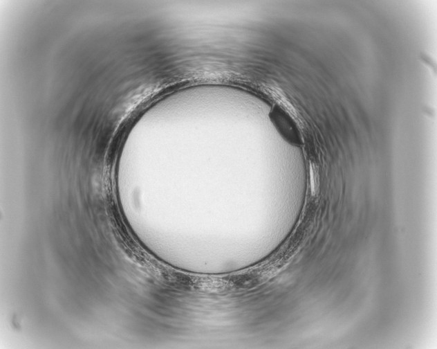 X0000093460579200711021136