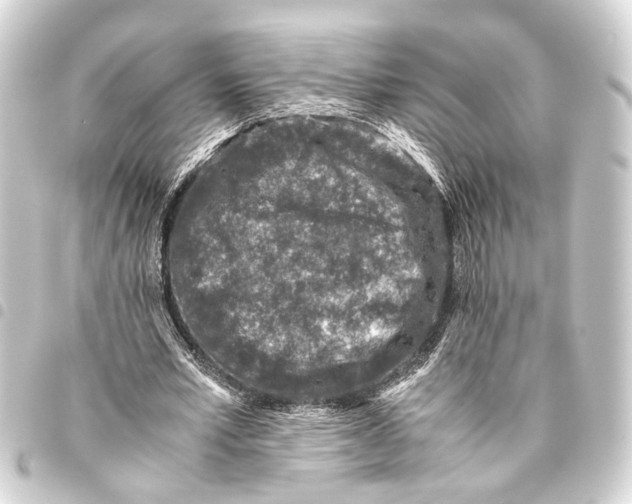 X0000093460581200711021136