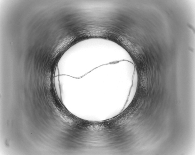 X0000093460586200711021136