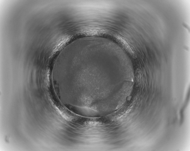 X0000093460590200711021136