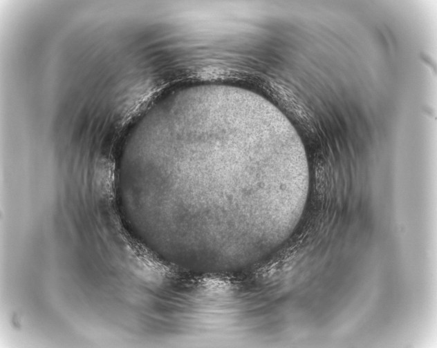 X0000093460592200711021136