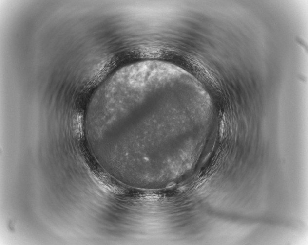 X0000093460598200711021136