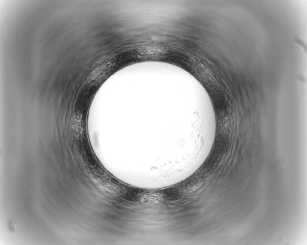 X0000093460599200711021136