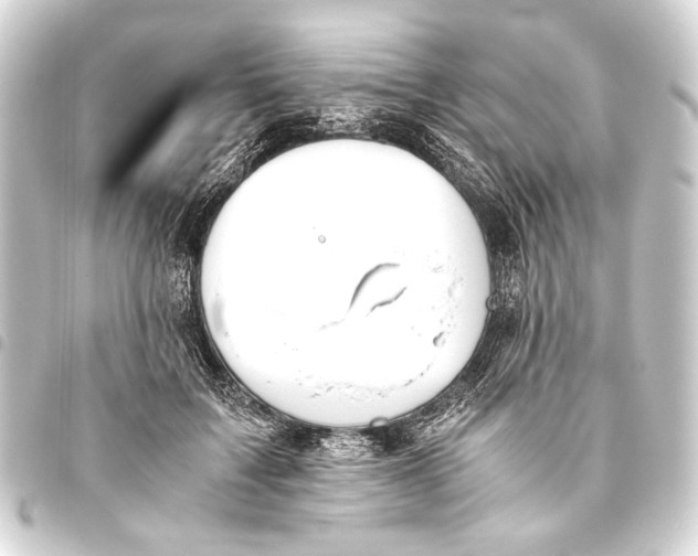 X0000093460603200711021136