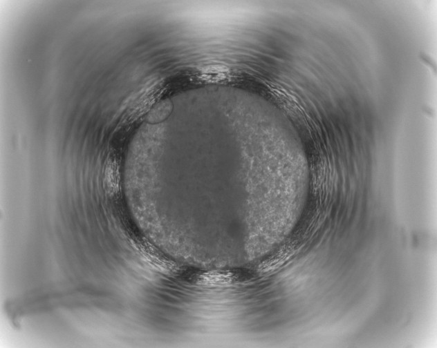 X0000093460606200711021136