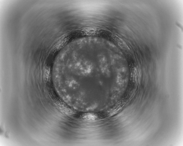 X0000093460610200711021136