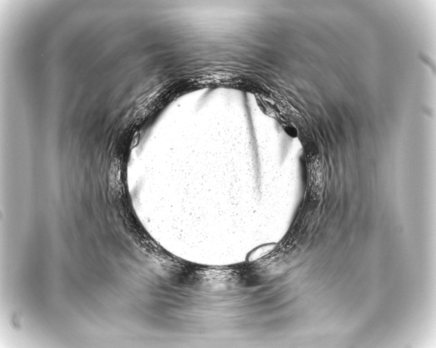 X0000093460615200711021136