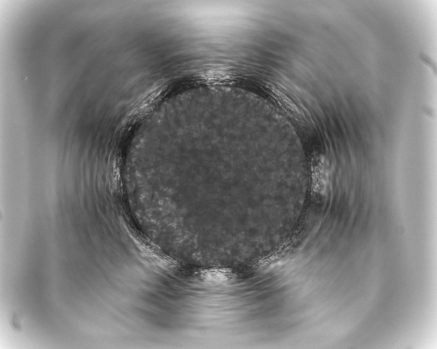 X0000093460618200711021135