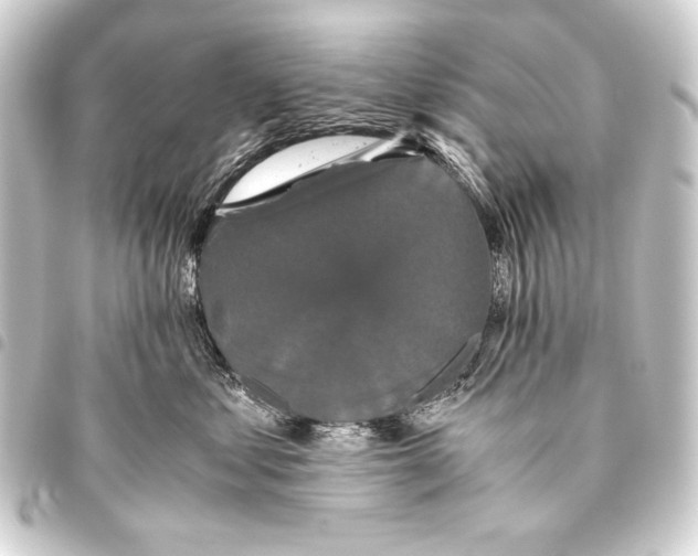 X0000093460621200711021135