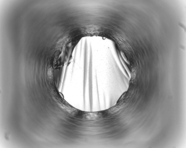 X0000093460623200711021135