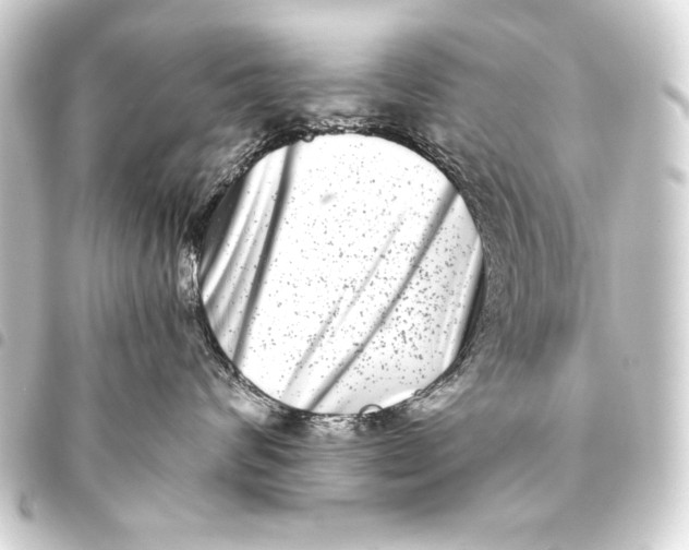 X0000093460624200711021135