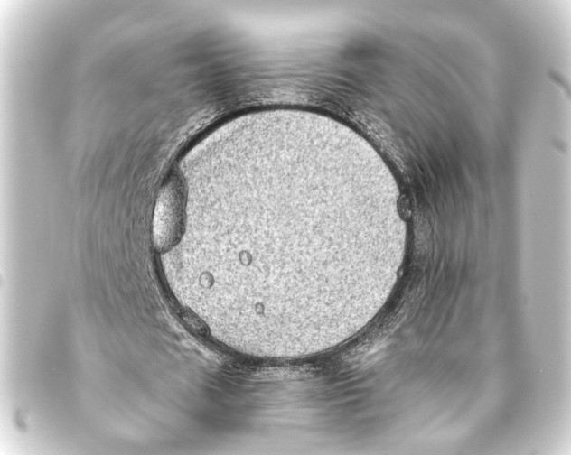 X0000093460625200711021135