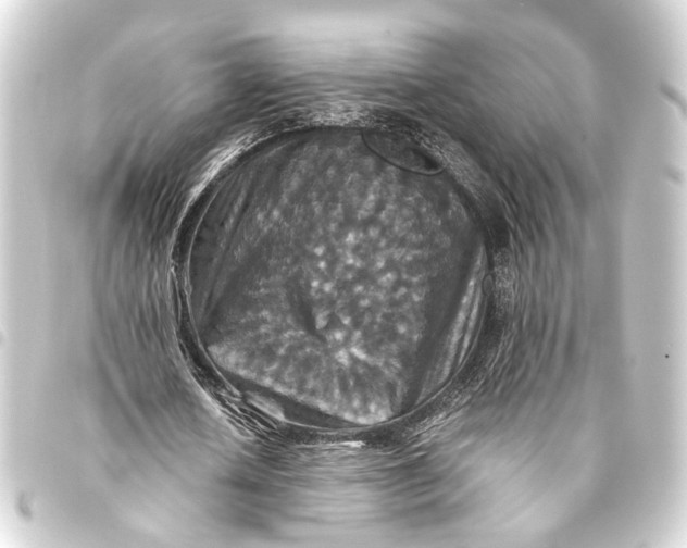 X0000093460626200711021135