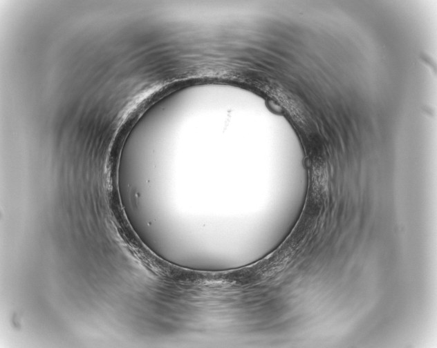 X0000093460628200711021135