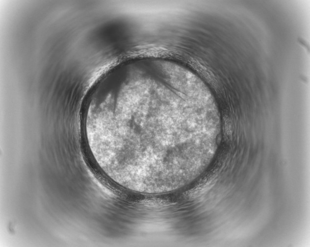 X0000093460630200711021135