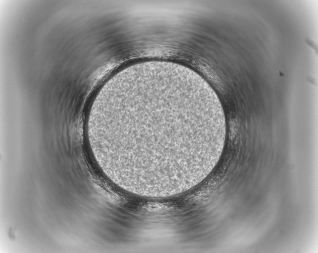 X0000093460632200711021135