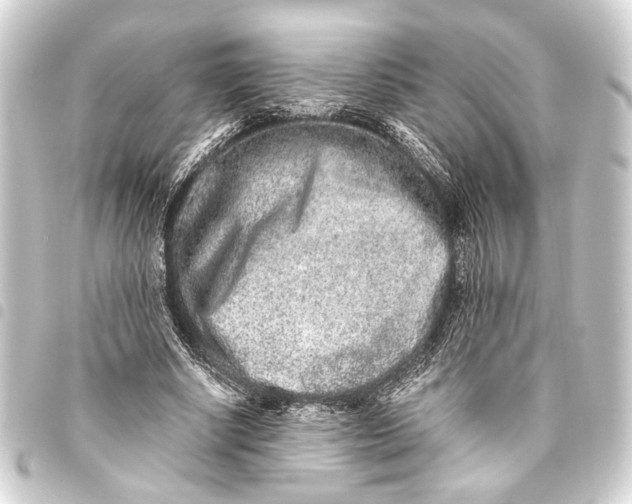 X0000093460634200711021135