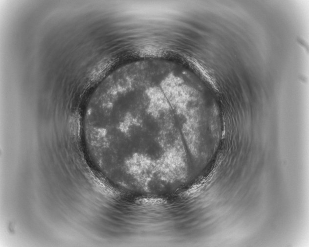 X0000093460637200711021135