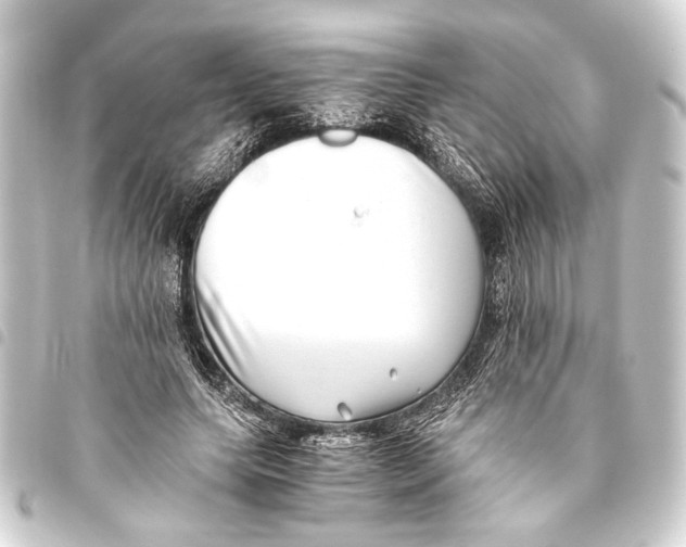 X0000093460639200711021135