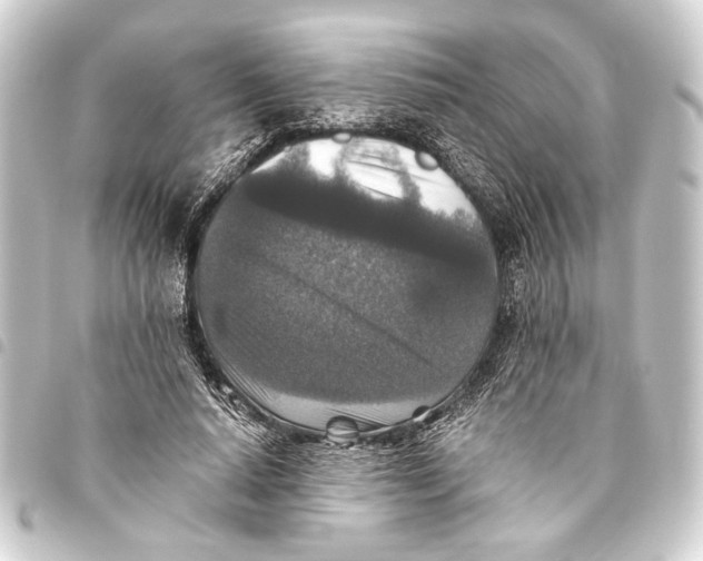 X0000093460640200711021135